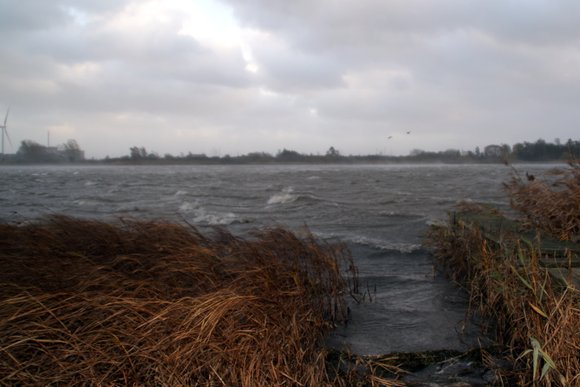 Stormen 2013 over vores sø